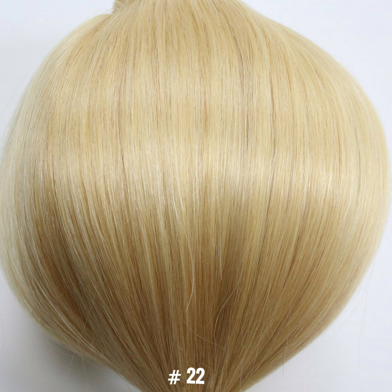Full Lace Wig Highlights -Light Shades